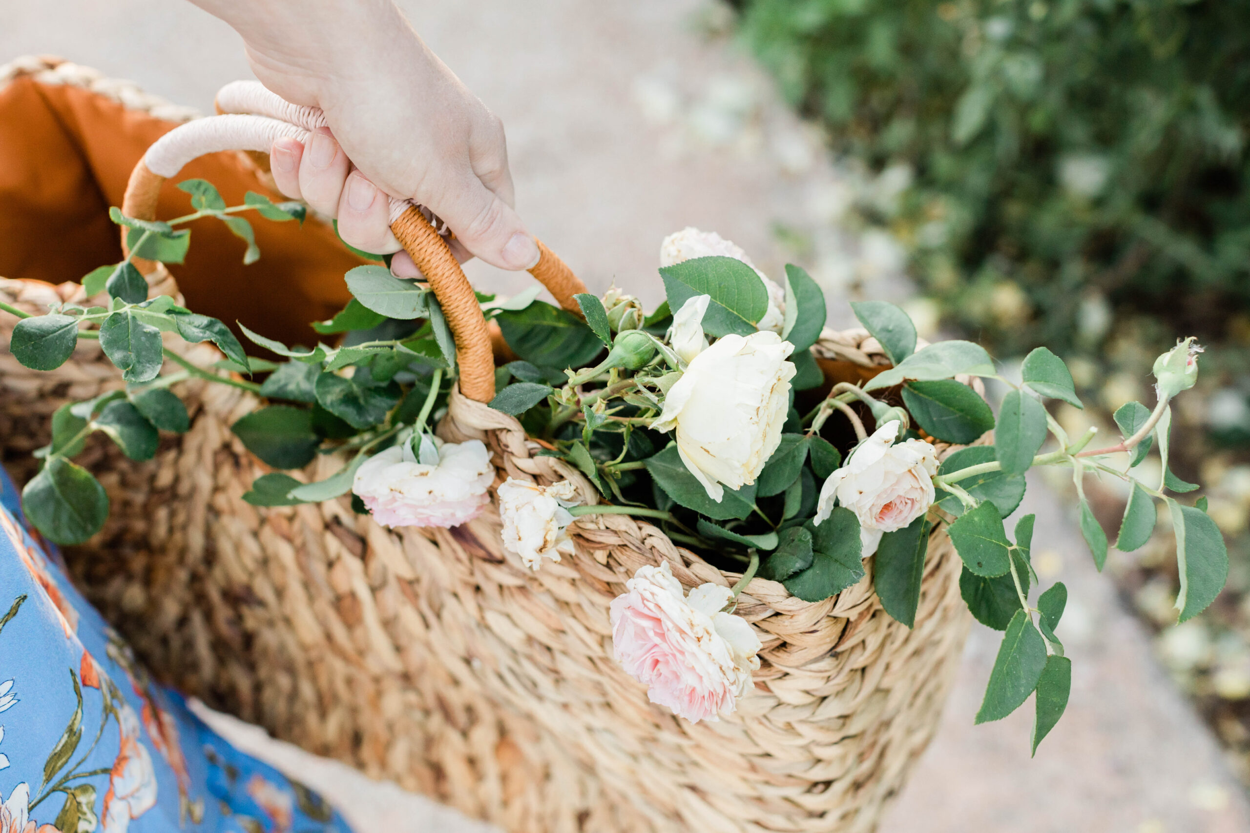 5 Ways to Find Joy When Life Gets Overwhelming